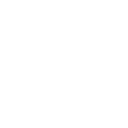 Triumph Motocycles