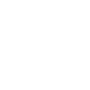 Octink